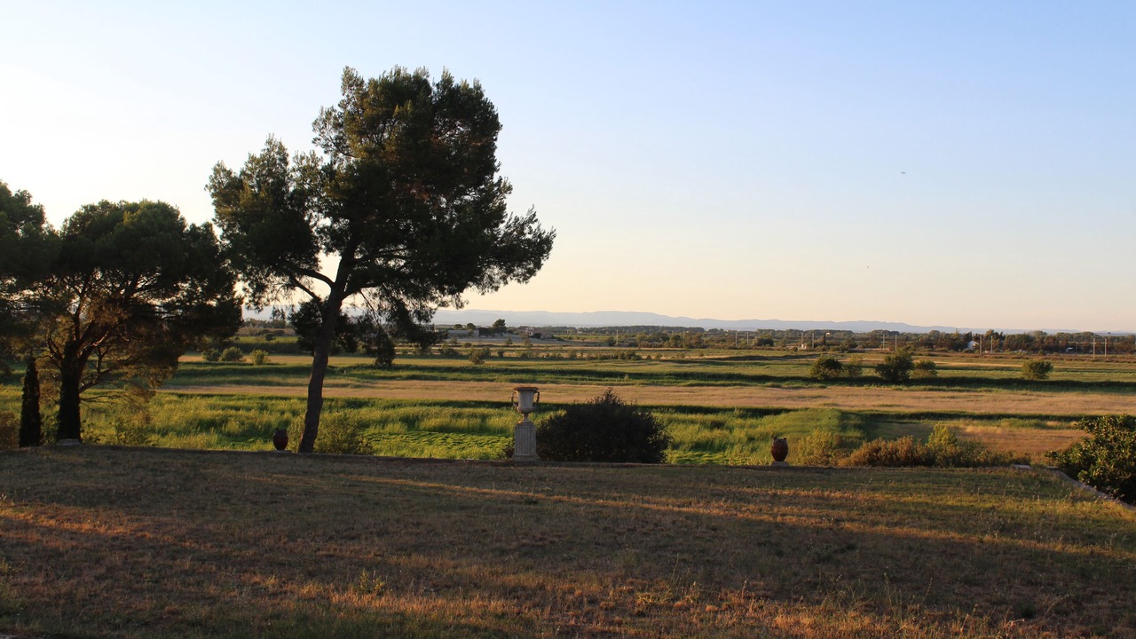 Photo of Outdoor in Narbonne