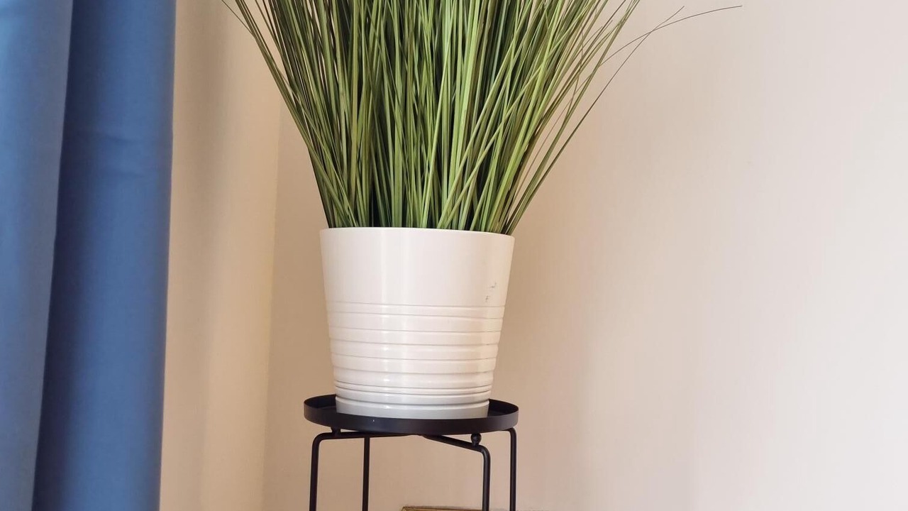 Photo of Others in Abbey