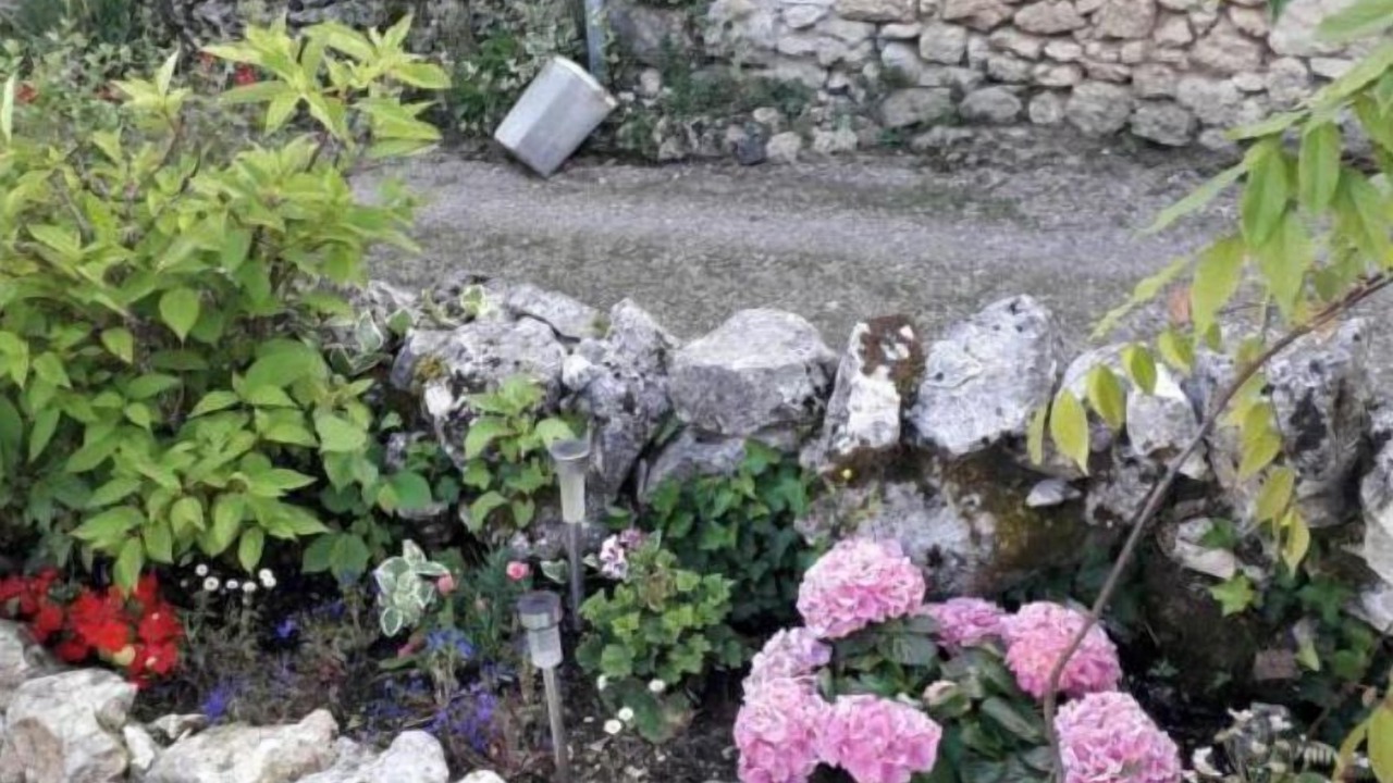 Photo of Outdoor in Lisle