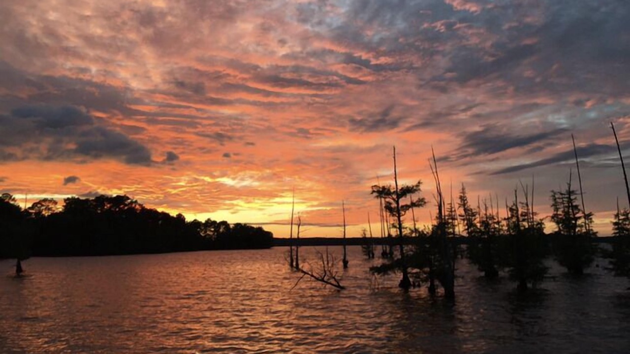 Photo of Outdoor in Farmerville