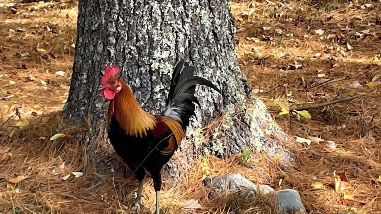 Photo of Outdoor in Blue Hill