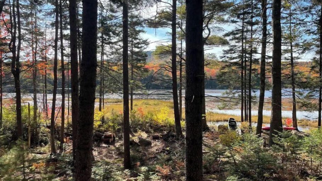 Photo of Others in Blue Hill