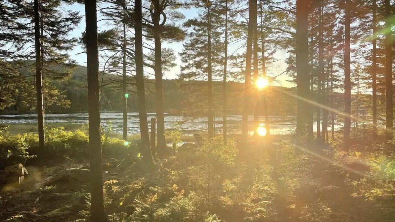 Photo of Outdoor in Blue Hill