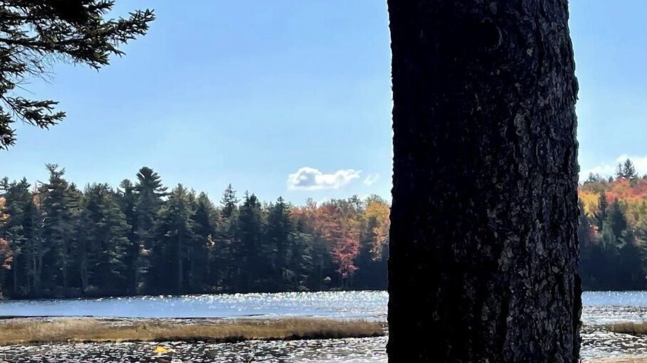 Photo of Others in Blue Hill