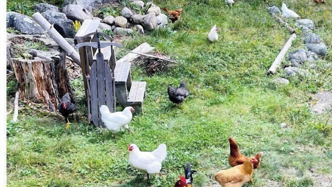 Photo of Outdoor in Blue Hill