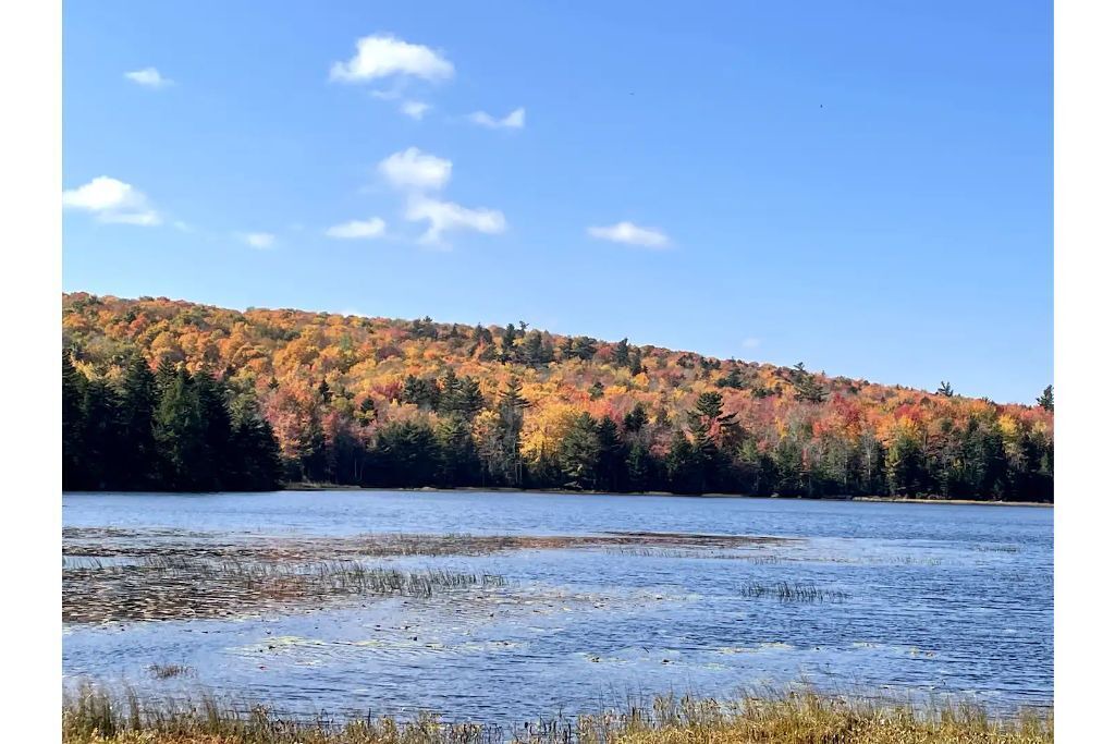 Photo of Others in Blue Hill