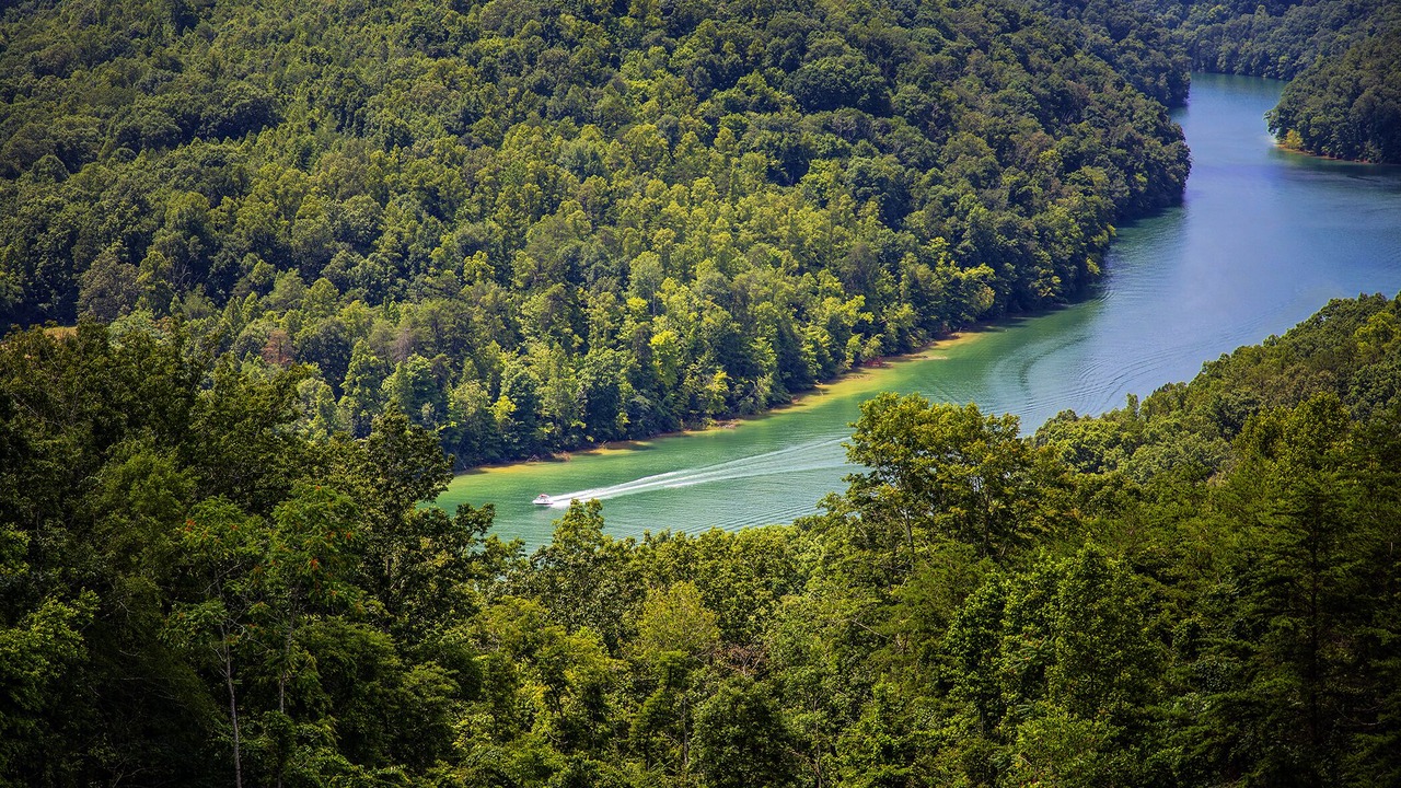 Photo of Others in Big Creek
