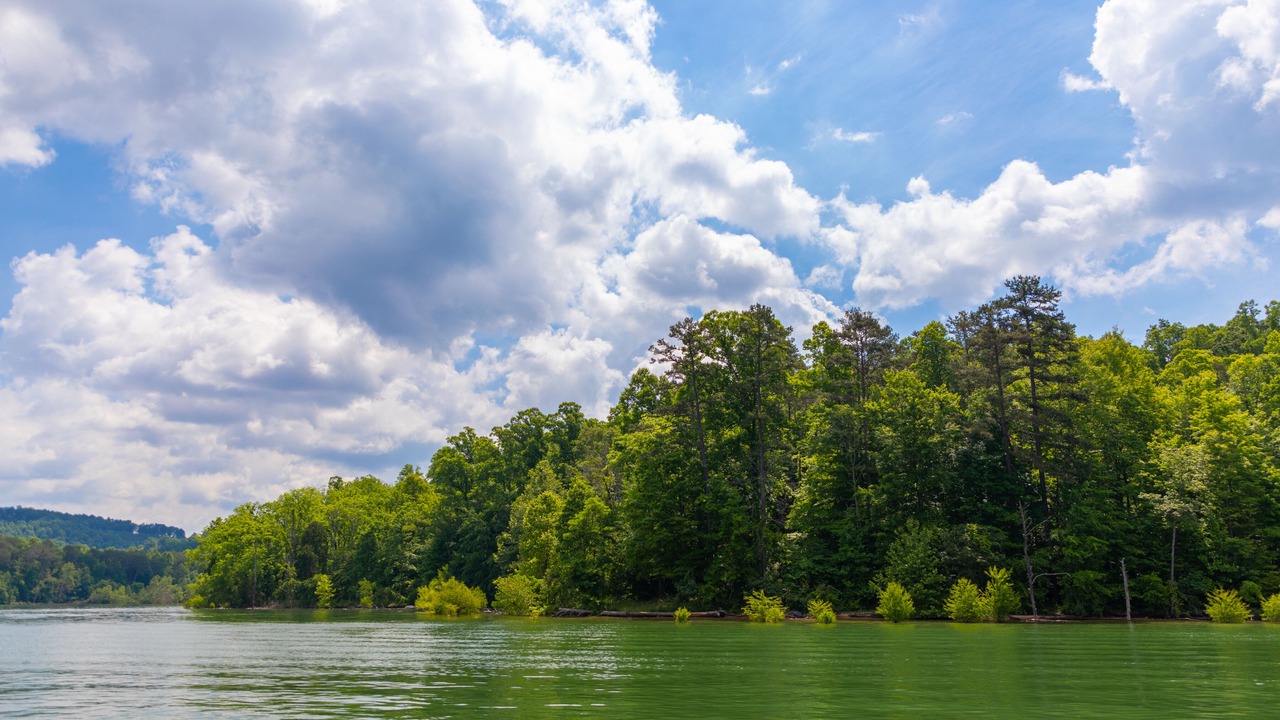 Photo of Outdoor in Big Creek