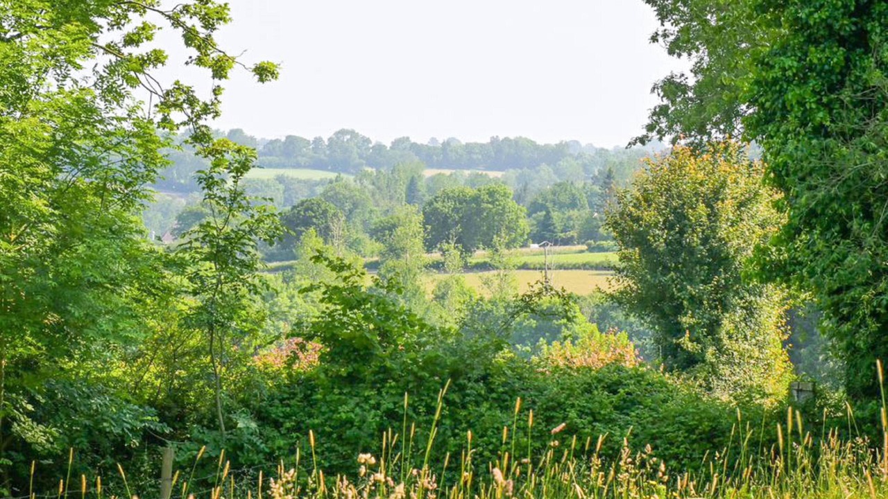 Photo of Others in Sourdeval-les-Bois
