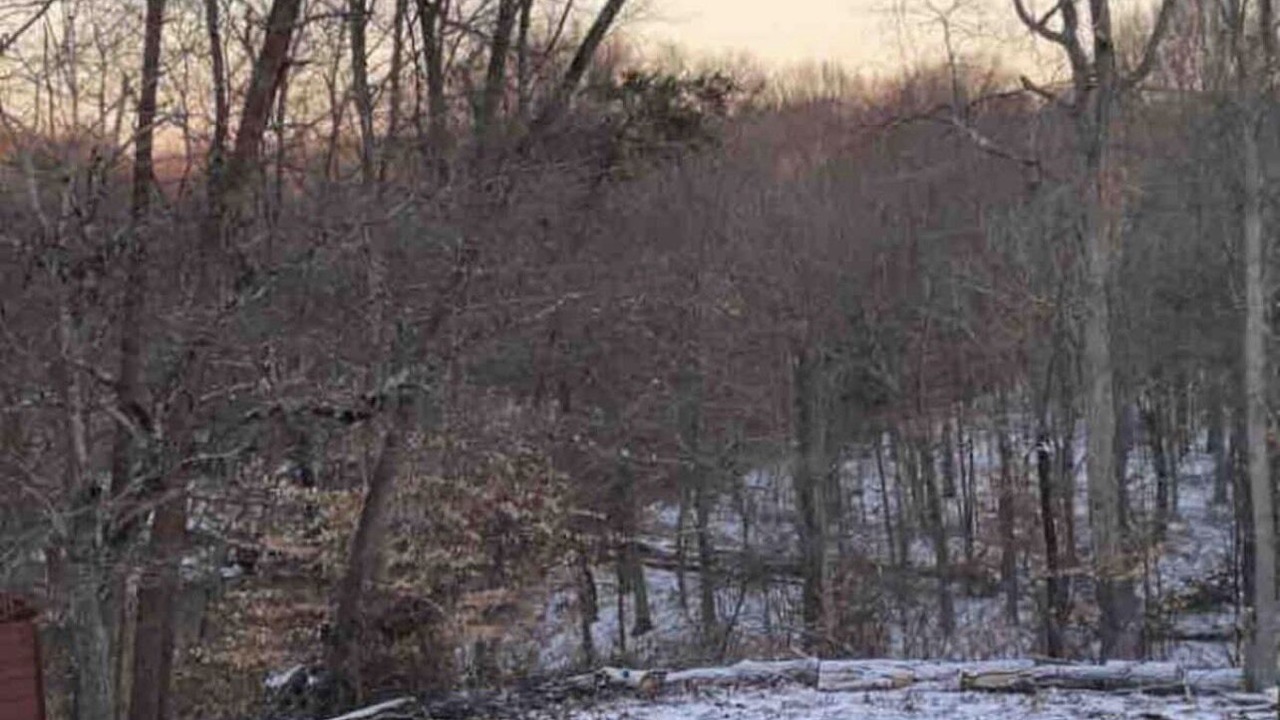 Photo of Outdoor in Danville