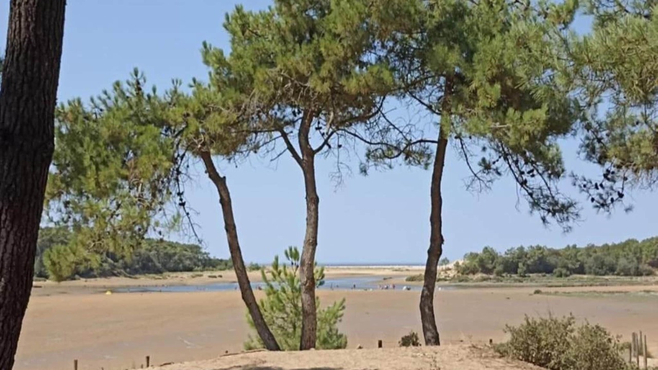 Photo of Others in Bourgenay