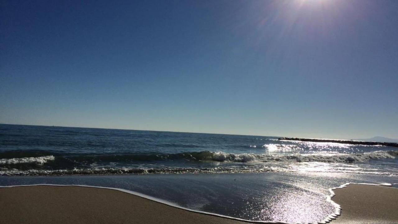 Photo of Others in Saint-Cyprien Plage
