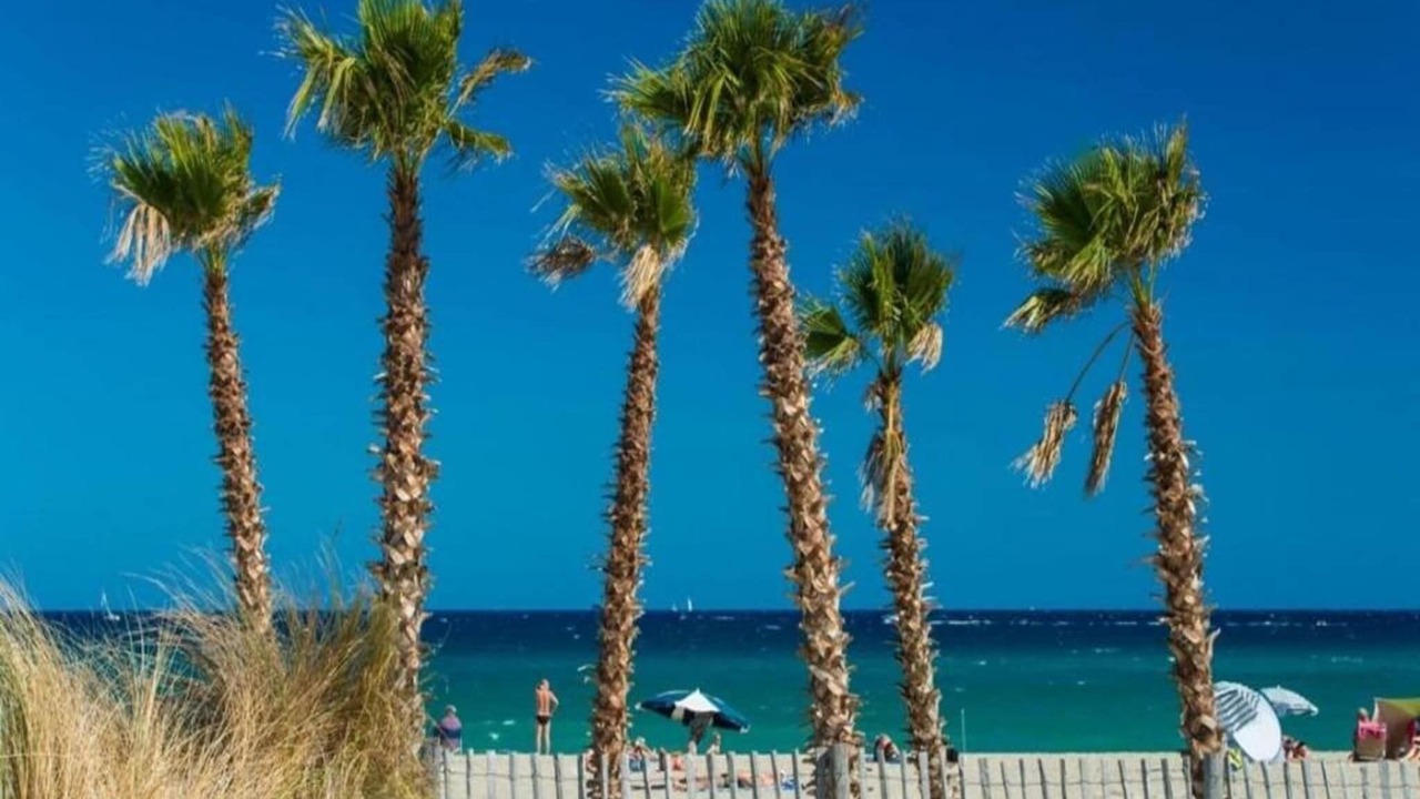 Photo of Others in Saint-Cyprien Plage