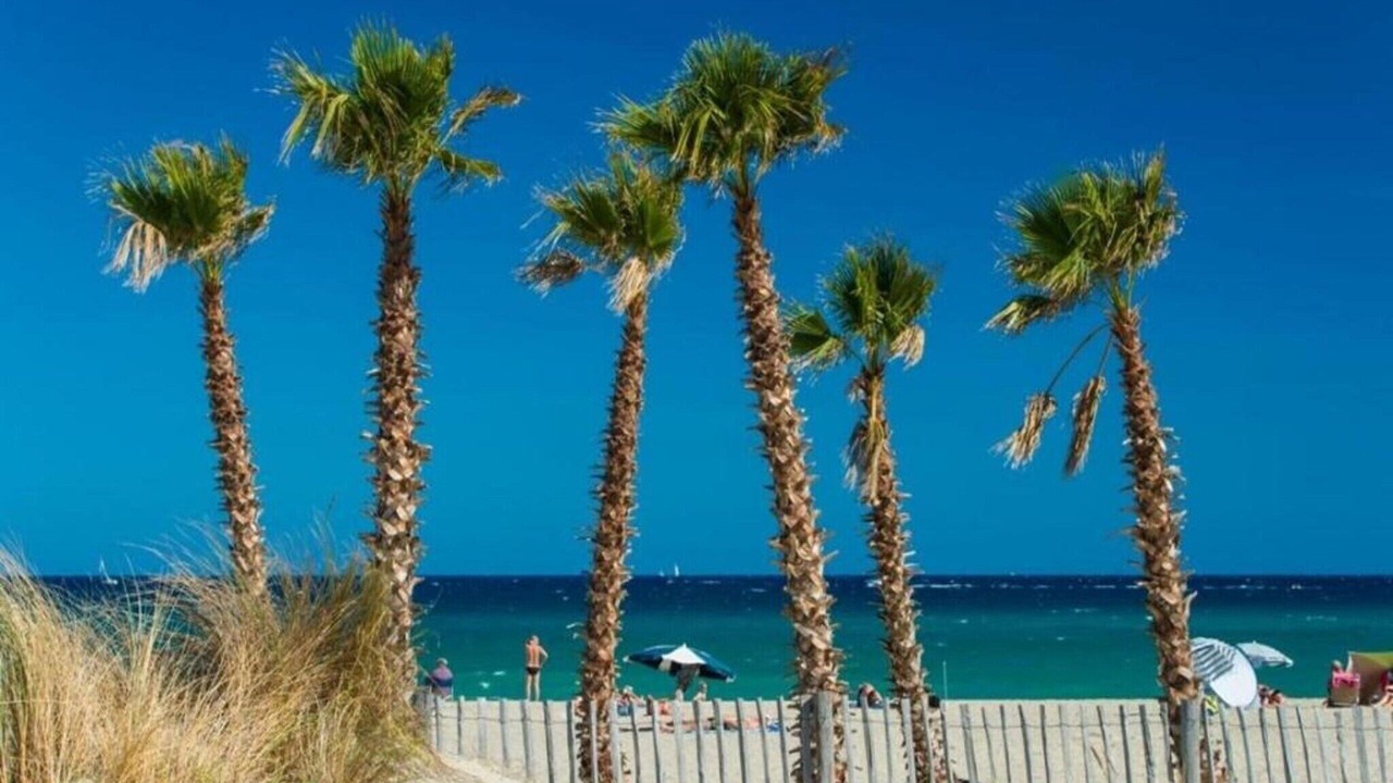 Photo of Others in Saint-Cyprien Plage