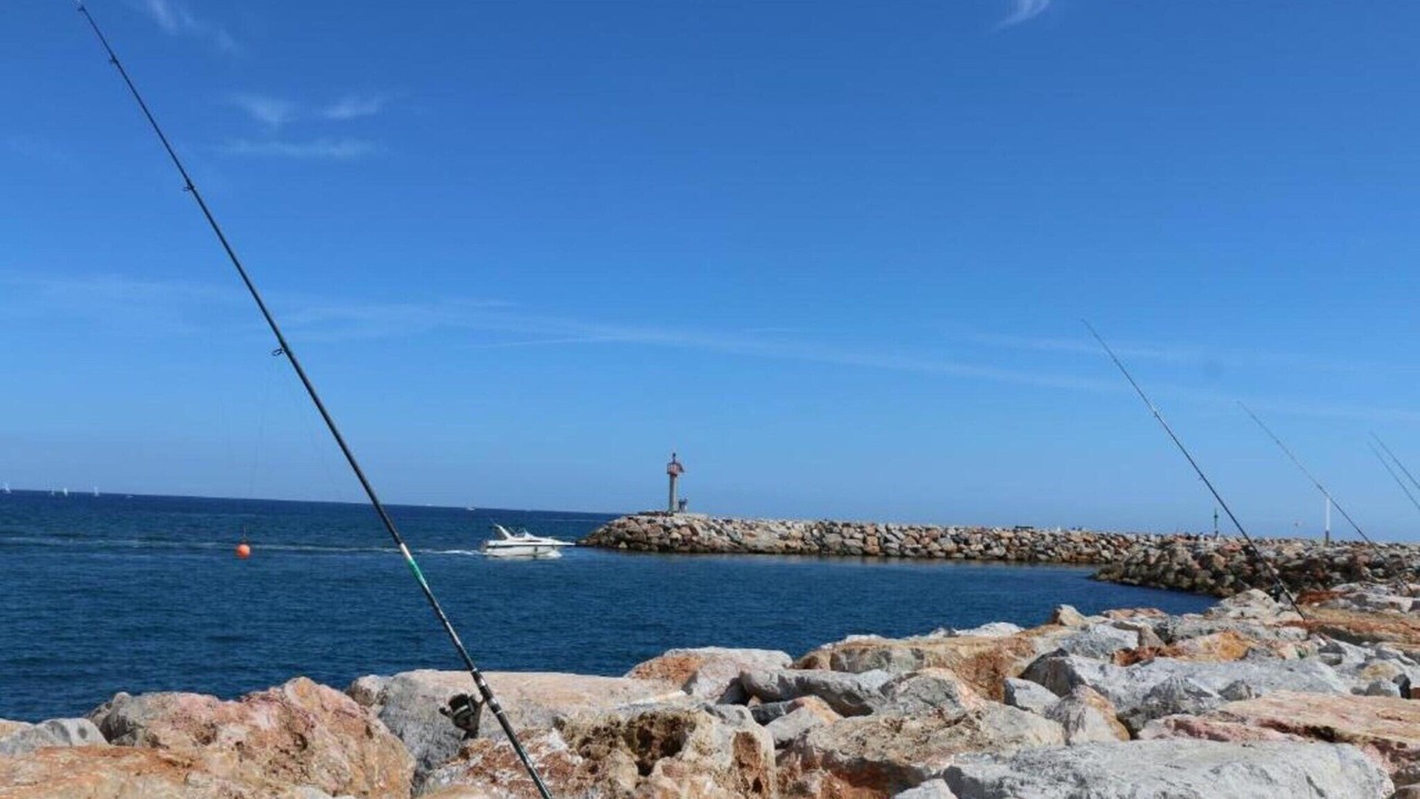 Photo of Others in Saint-Cyprien Plage
