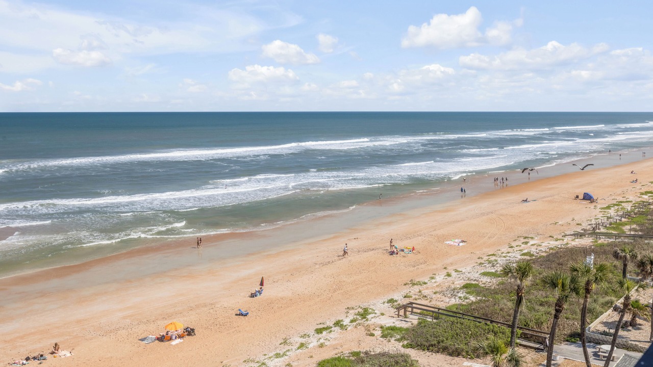 Photo of Others in Ormond-by-the-Sea