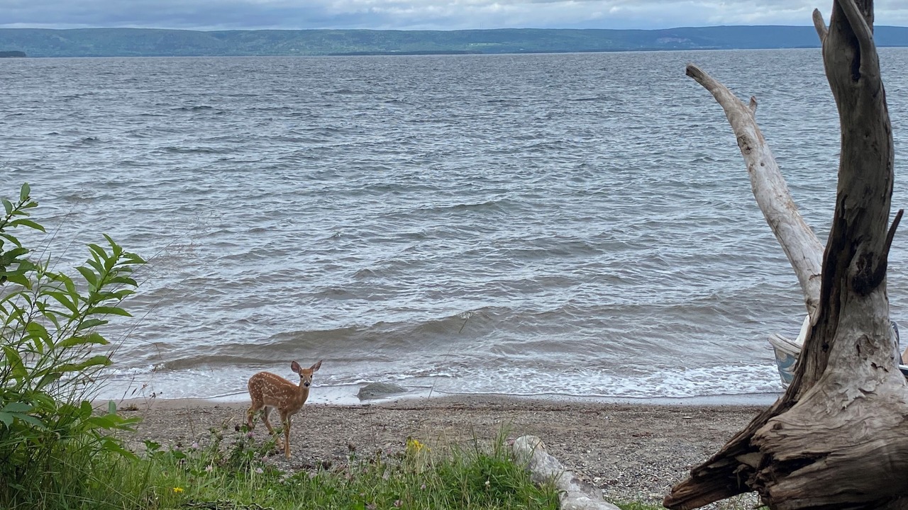 Photo of Others in West Bay