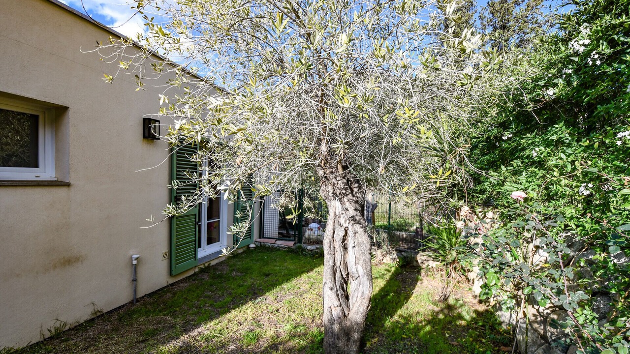 Photo of Outdoor in Zilia