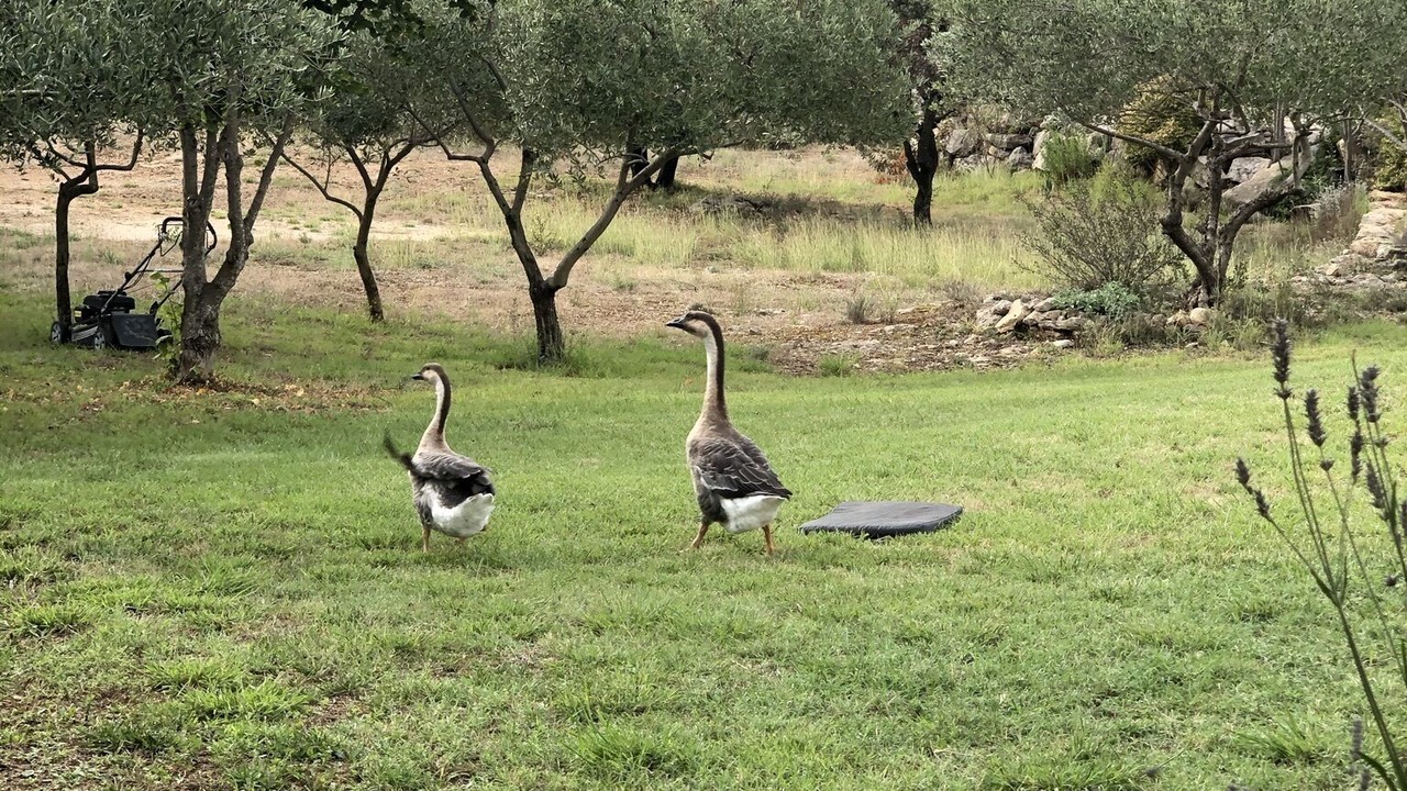 Photo of Outdoor in Beaulieu