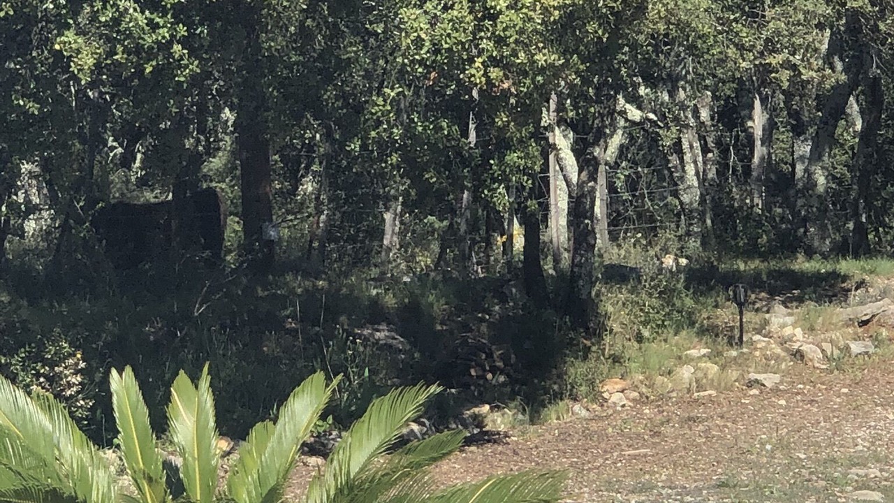 Photo of Outdoor in Beaulieu