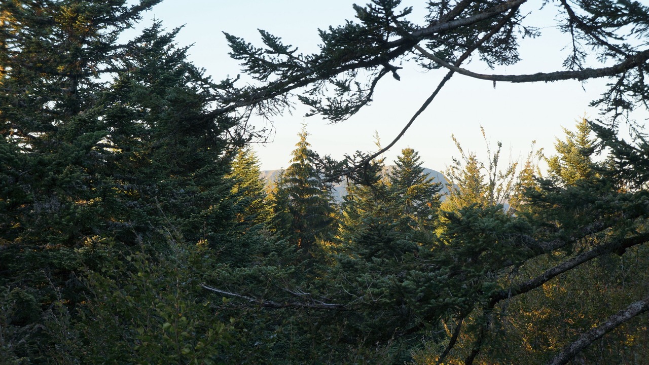 Photo of Outdoor in La Tour-dʼAuvergne