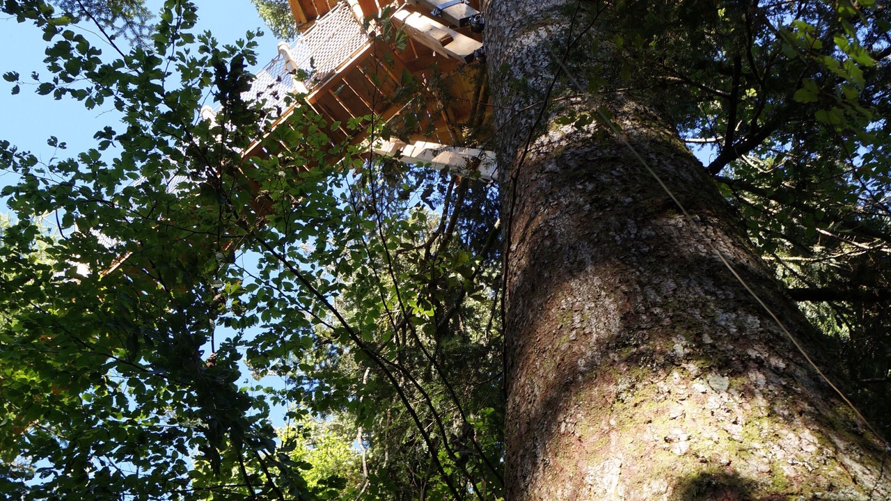 Photo of Outdoor in La Tour-dʼAuvergne