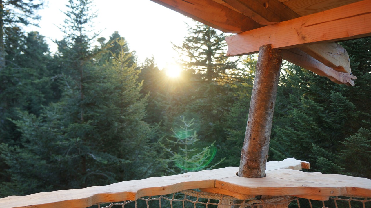 Photo of Outdoor in La Tour-dʼAuvergne