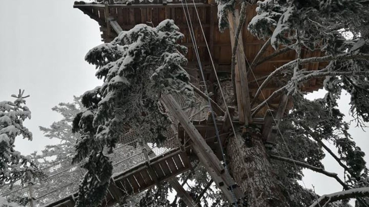 Photo of Outdoor in La Tour-dʼAuvergne