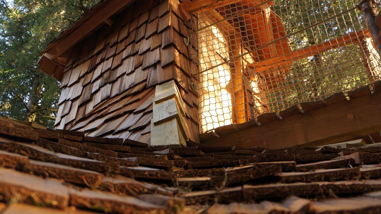 Photo of Outdoor in La Tour-dʼAuvergne