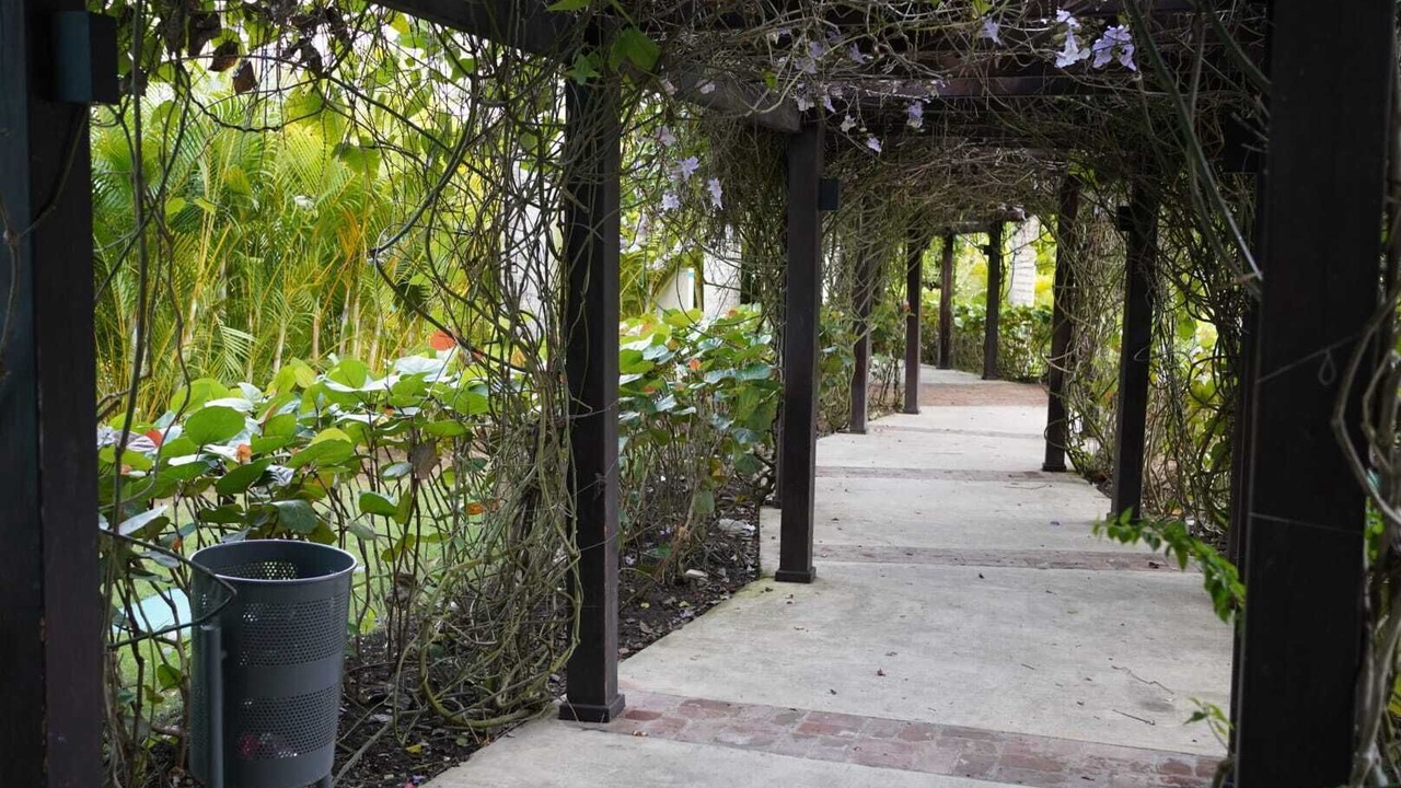 Photo of Outdoor in Punal