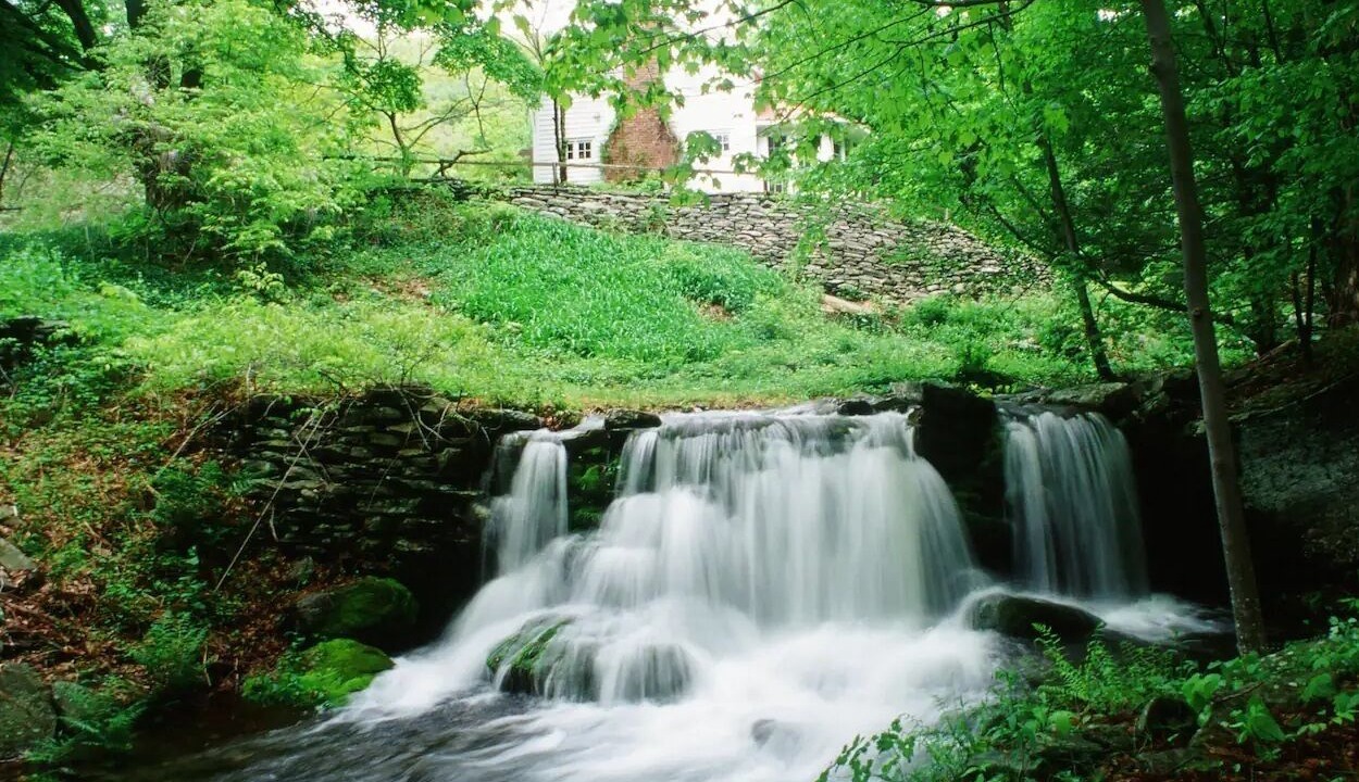 Photo of Outdoor in Woodstock