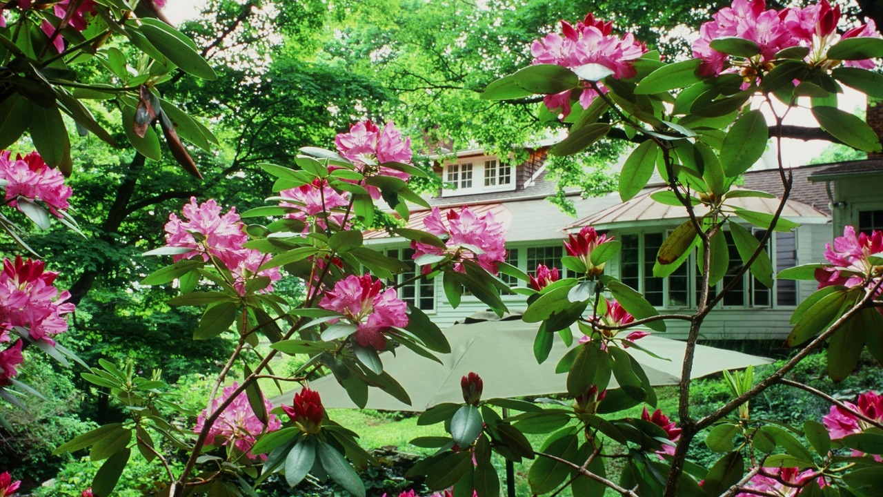 Photo of Outdoor in Woodstock