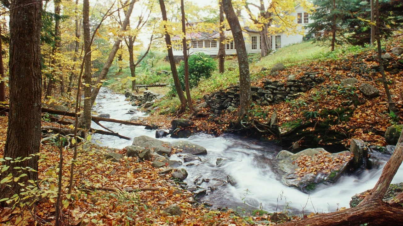 Photo of Outdoor in Woodstock