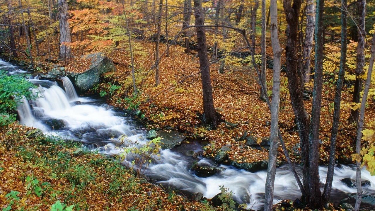 Photo of Outdoor in Woodstock