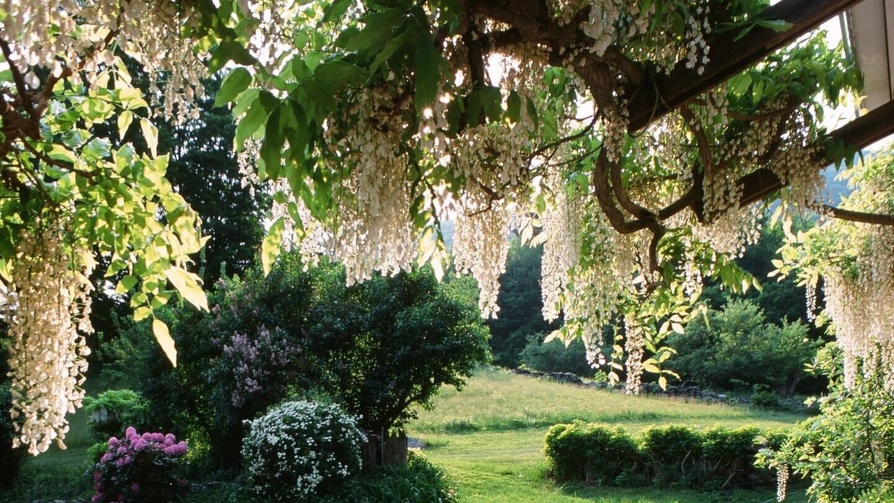 Photo of Outdoor in Woodstock