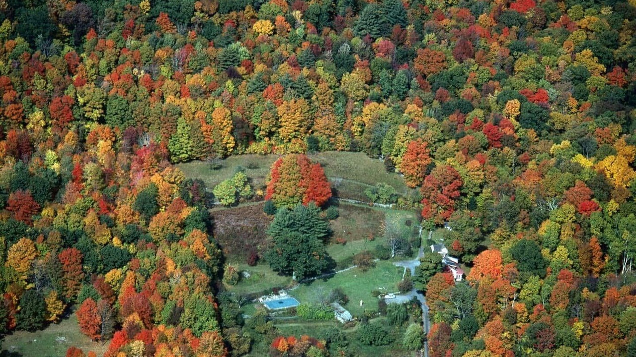 Photo of Outdoor in Woodstock