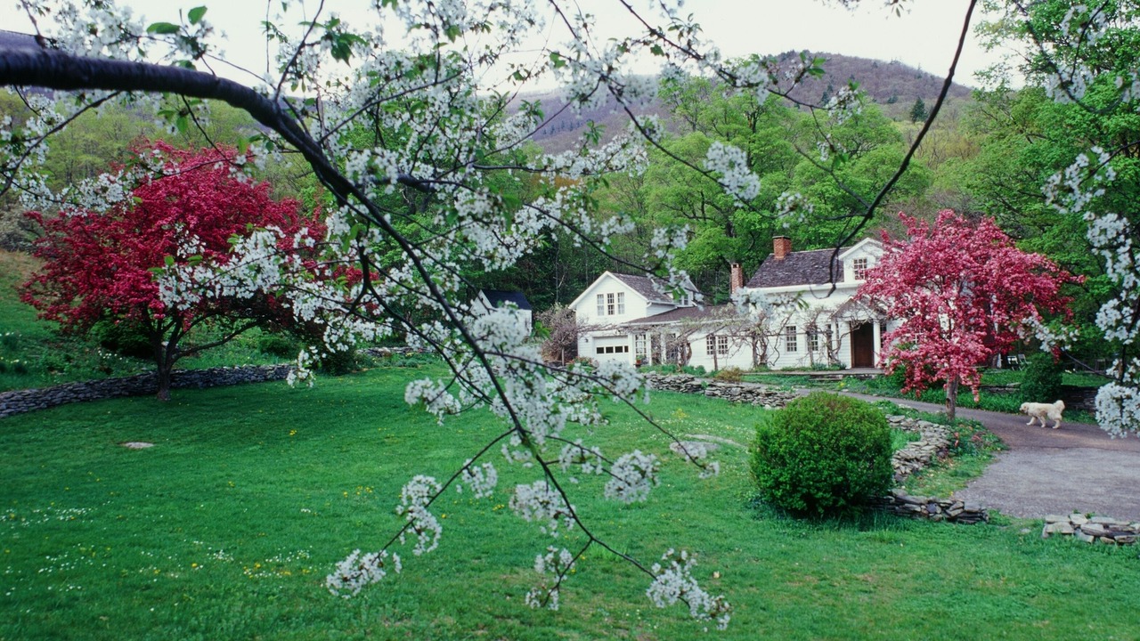 Photo of Outdoor in Woodstock