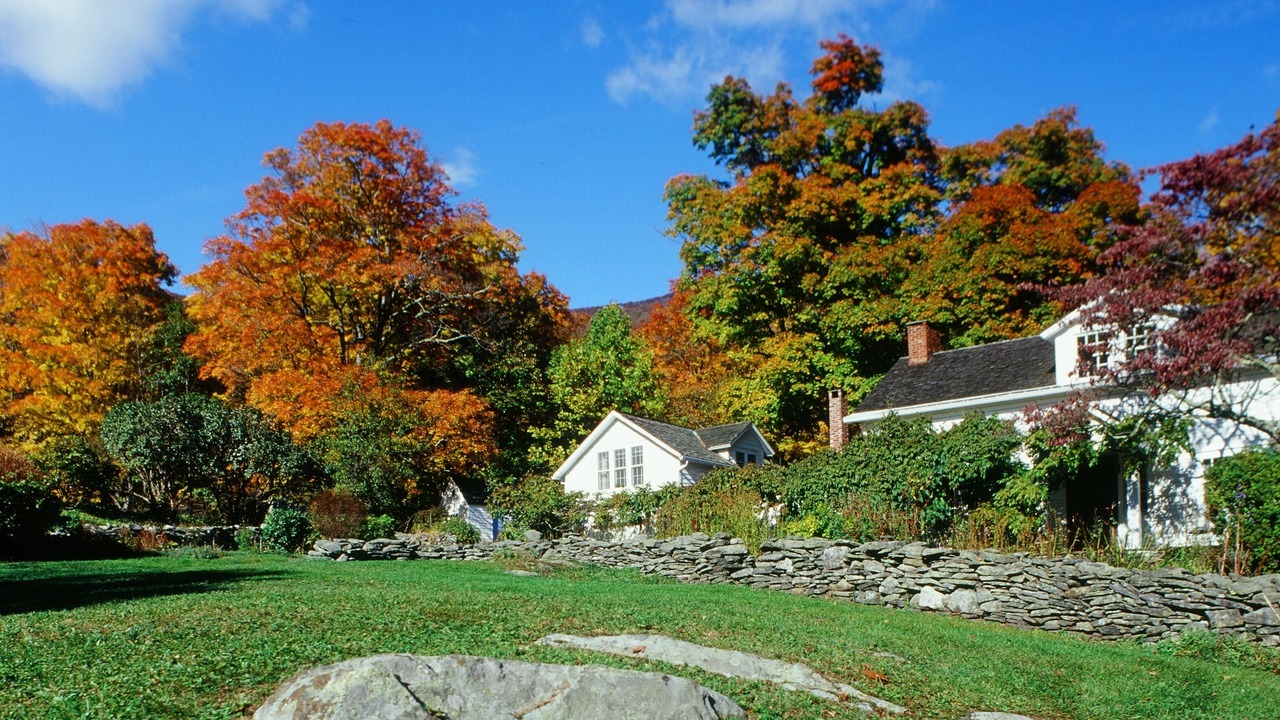 Photo of Outdoor in Woodstock