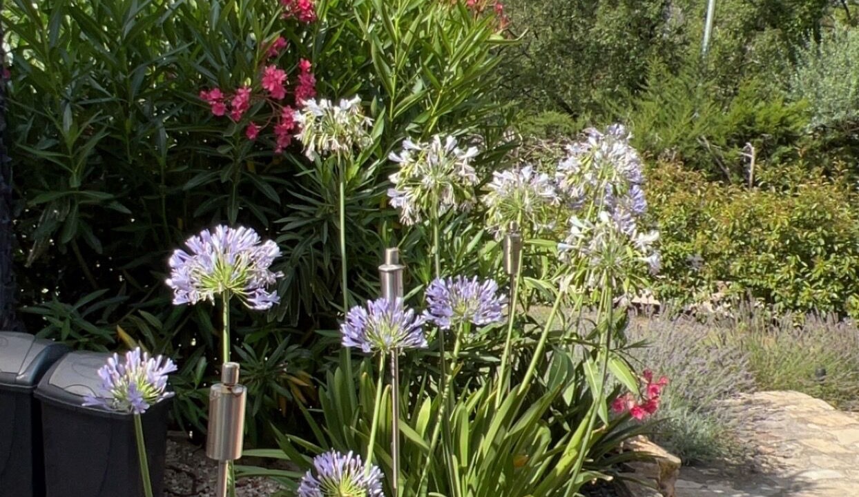 Photo of Outdoor in Saint-Paul-en-Foret