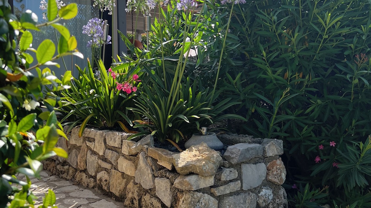 Photo of Outdoor in Saint-Paul-en-Foret