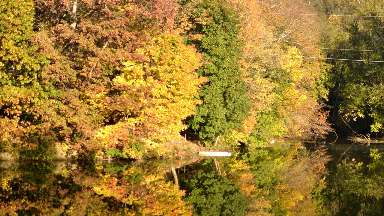 Photo of Others in Virginville