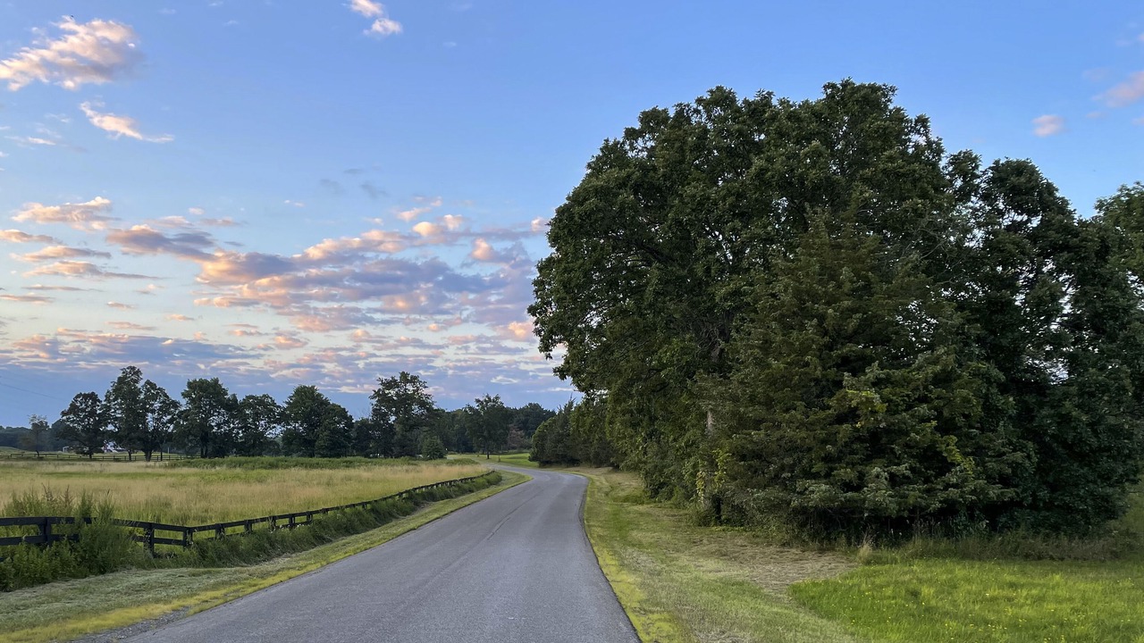 Photo of Others in Hollowville