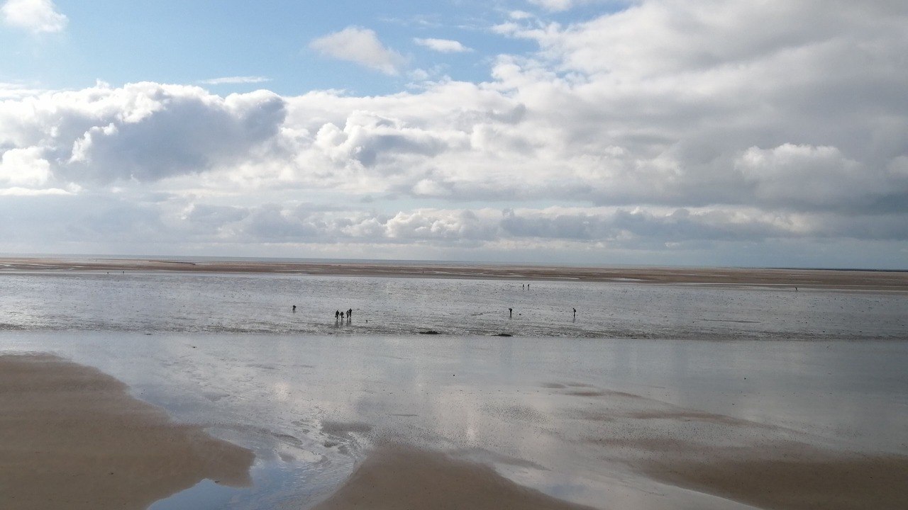 Photo of Others in Hauteville-sur-Mer