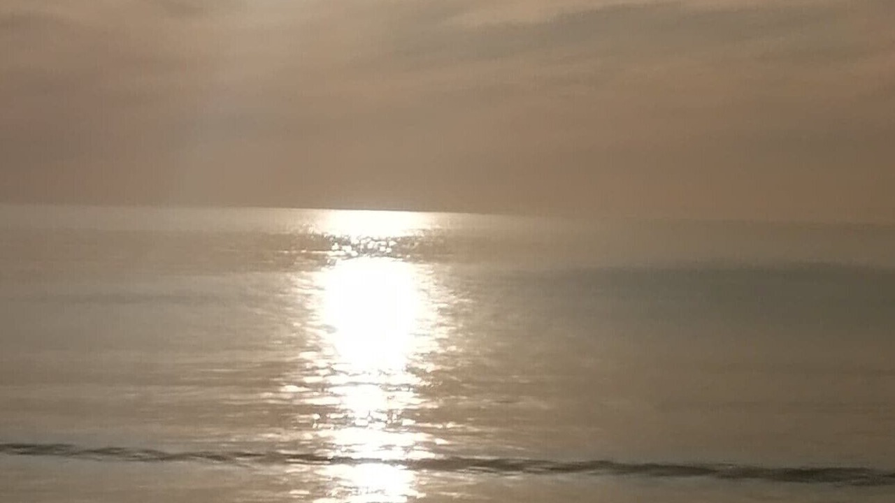 Photo of Others in Hauteville-sur-Mer