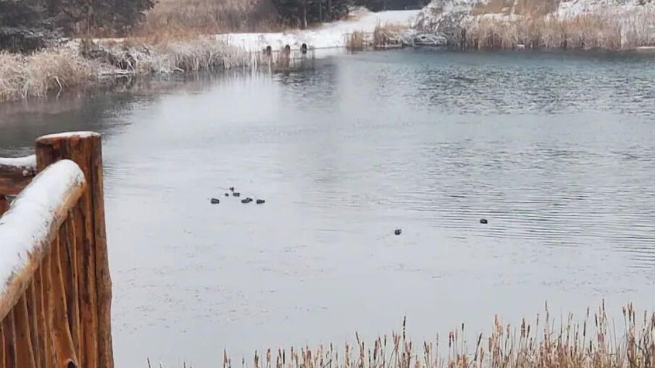 Photo of Others in Wheeler County
