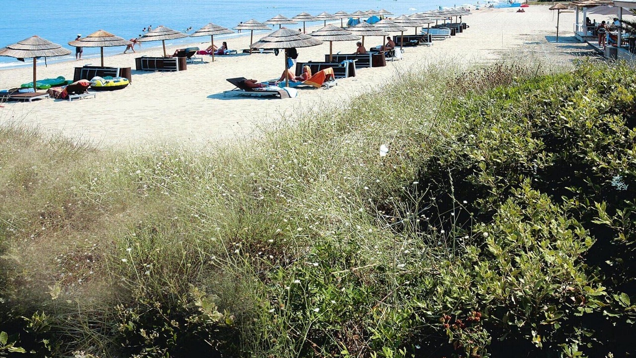 Photo of Others in Poggio-Mezzana