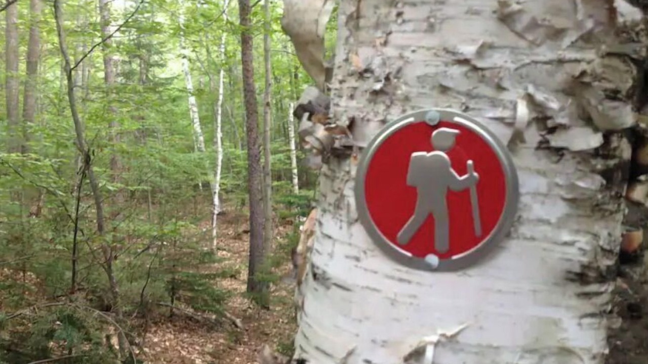 Photo of Outdoor in Wilmington