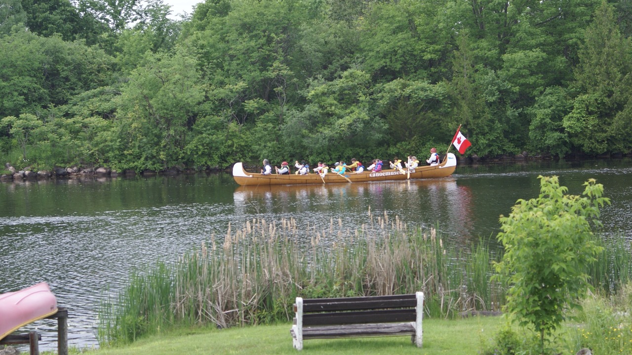 Photo of Others in Peterborough