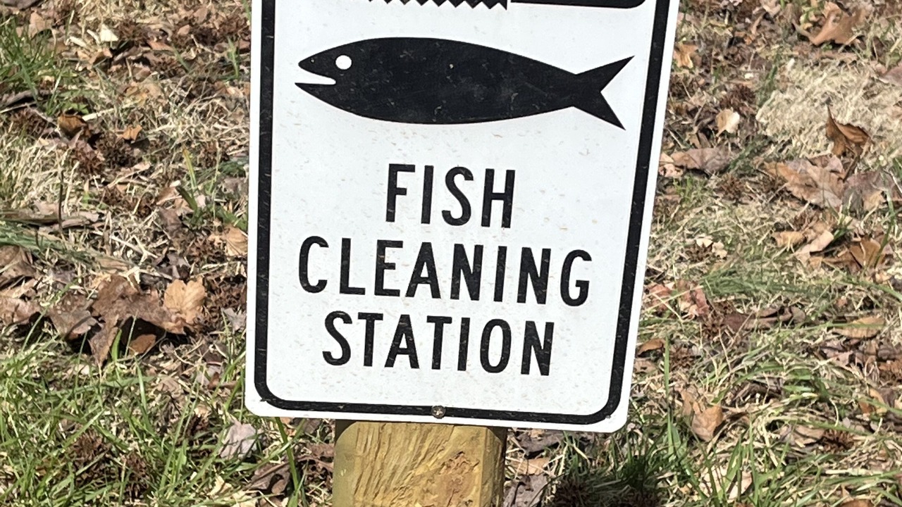 Photo of Outdoor in Clarksville