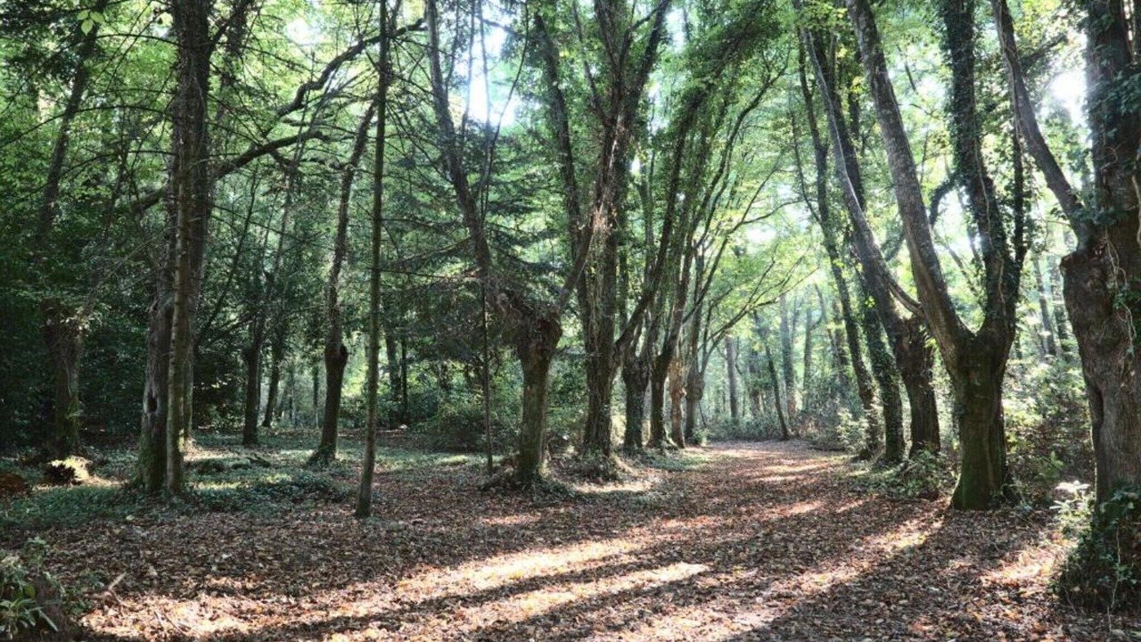 Photo of Others in Queven